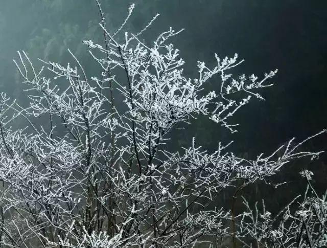 雁荡山地图