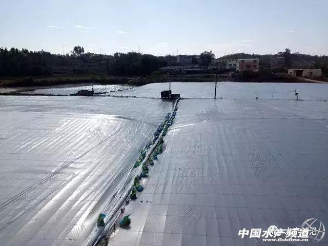 北海市叶轮式洗砂机的简单介绍