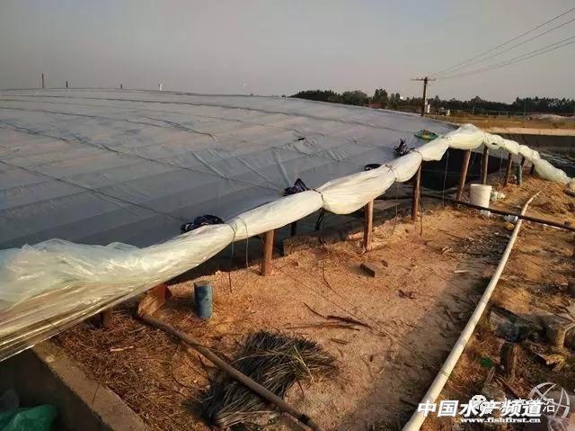 北海市叶轮式洗砂机