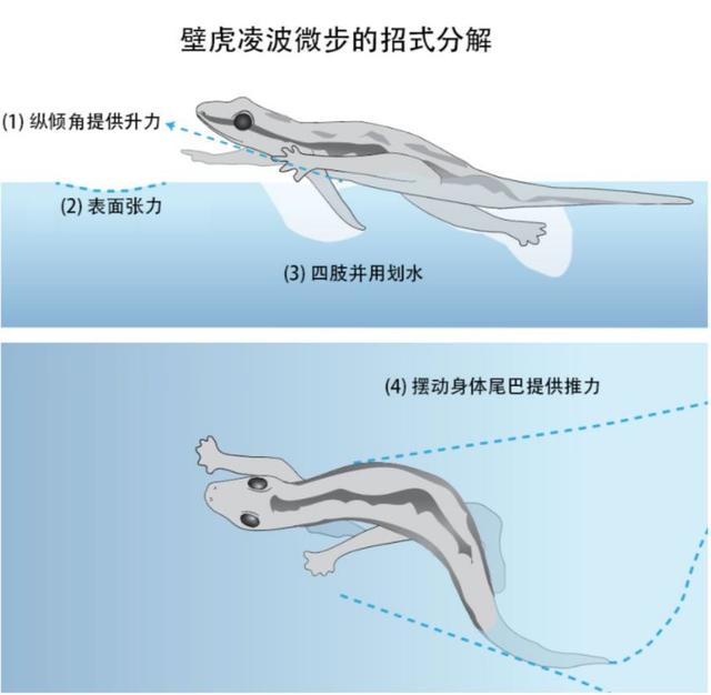 西埃罗费罗