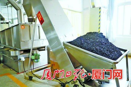 同安过滤机价格的简单介绍