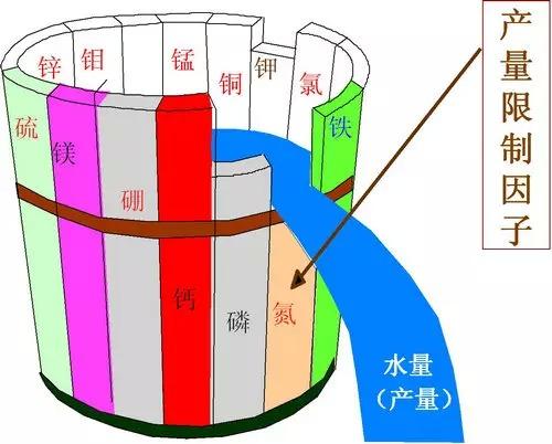 最全最基本的肥料知识（精编版）5