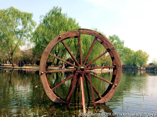 玉渊潭樱花节 玉渊潭樱花节（玉渊潭樱花节公园年票能用吗） 生活