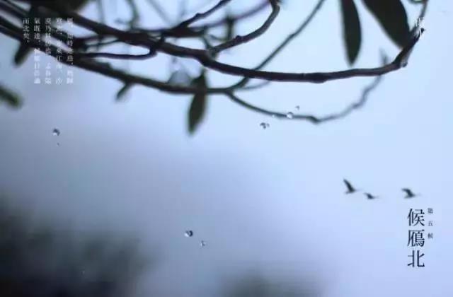 雨水是什么意思(雨水节气是什么意思)