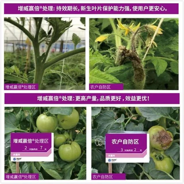 科迪华™新品增威赢倍®上市 直击疫病！点击领样品