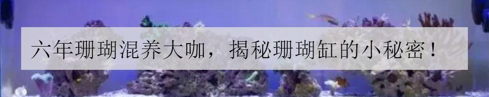 养海鱼过滤机