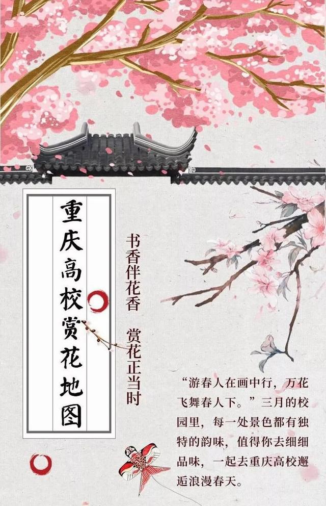 蔷薇花语 蔷薇花语（蔷薇花语录） 生活