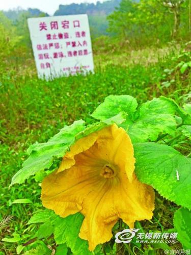 宜兴压滤机销售厂家