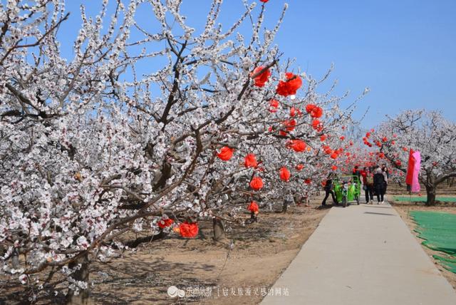 中国古巨鹿八景(千年古郡大美巨鹿)_手工miao