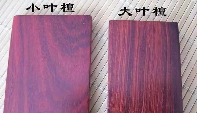 微信微紫是什么意思