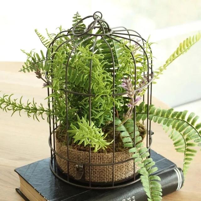 仿真绿植装饰效果图（绿植设计与3d创意效果图）(38)