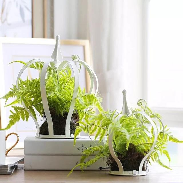 仿真绿植装饰效果图（绿植设计与3d创意效果图）(41)