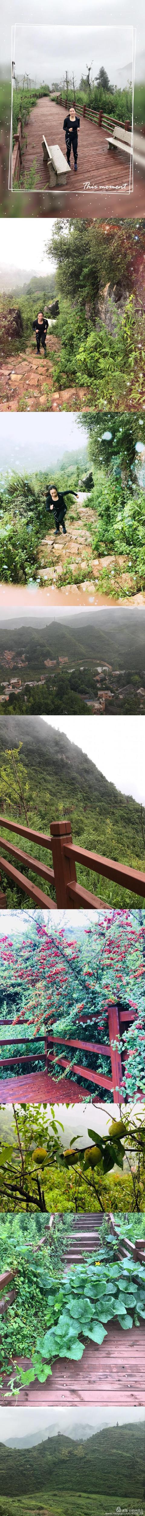 娄底玄武岩圆锥破碎机