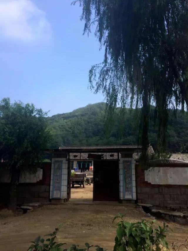营口立轴制砂机