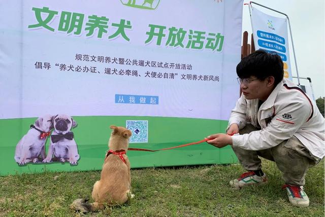 杭州公共遛犬区