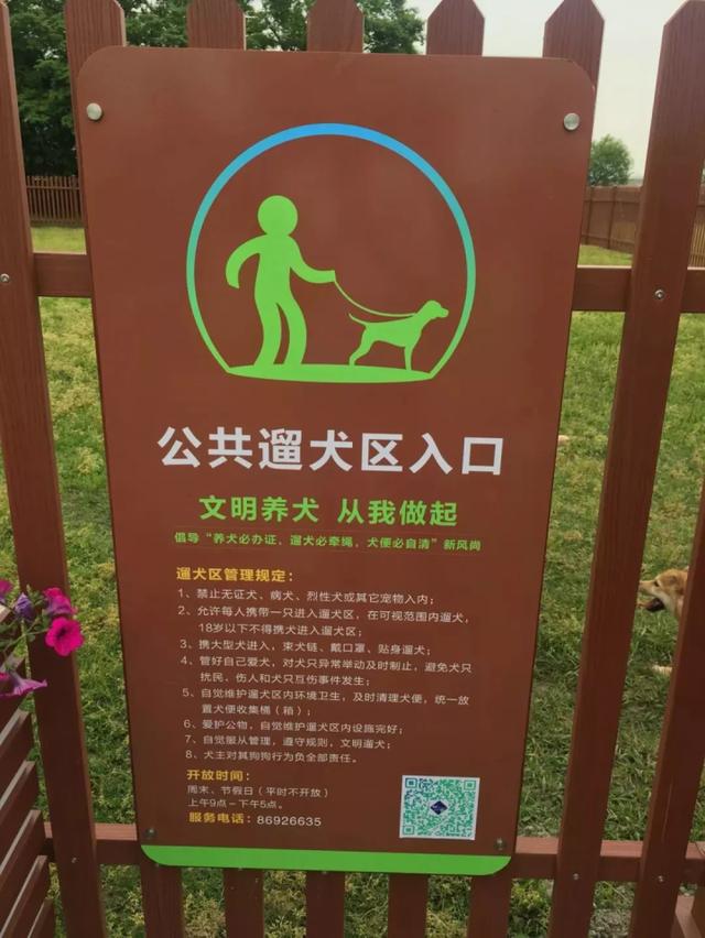 杭州公共遛犬区