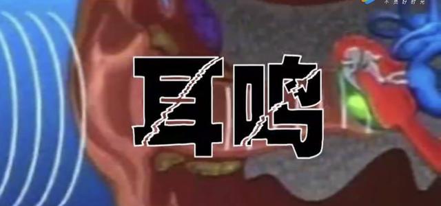 四川湿式球磨制砂机公司