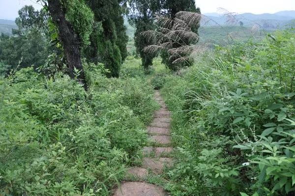 南昌河卵石制砂机厂家