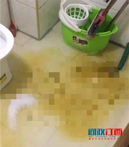 丰城破碎机多少钱