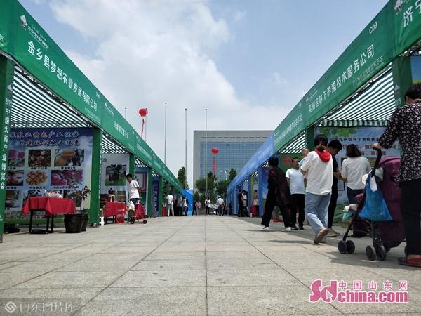 济宁食品机械展