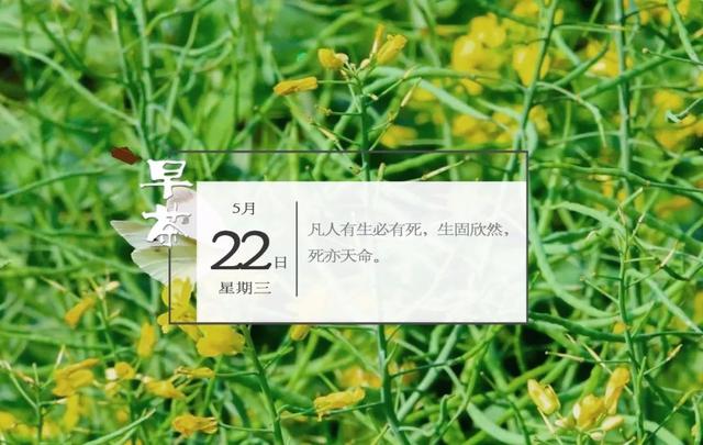 宏展消防工程