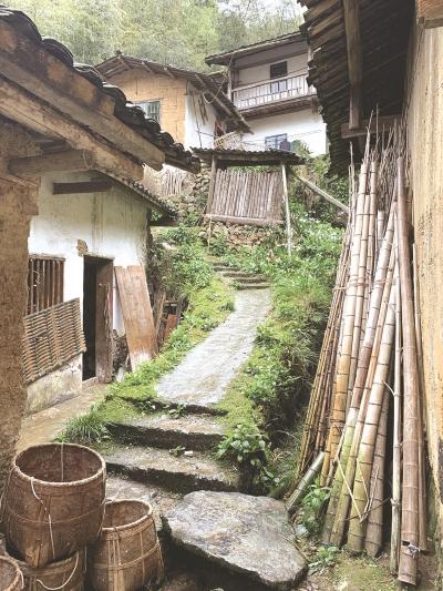宁化哪里有印刷包装机械展