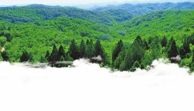 用破碎机破坏高跟鞋的简单介绍