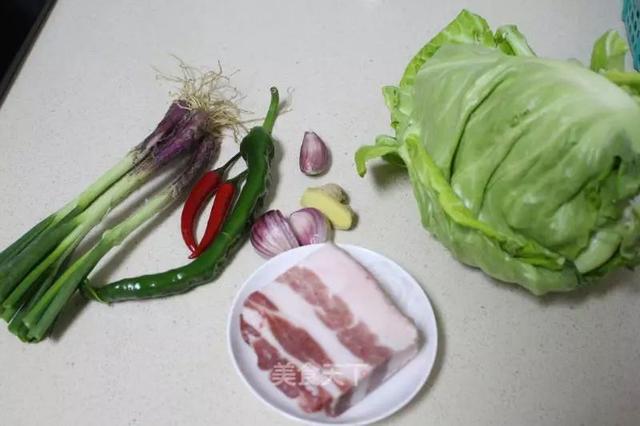 炒洋白菜