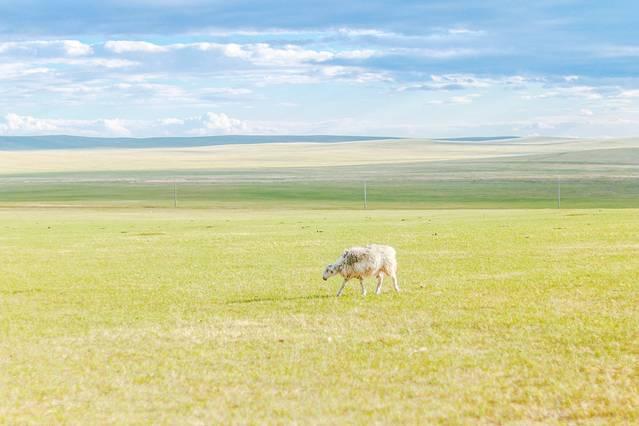 广式老吴奶香身体乳推荐