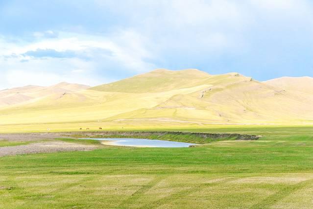 广式老吴奶香身体乳推荐