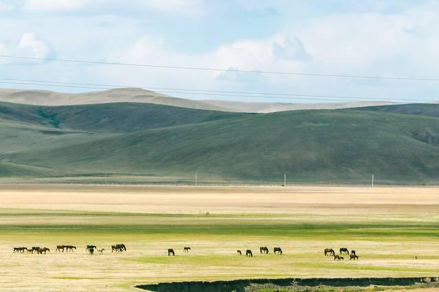 广式老吴奶香身体乳推荐