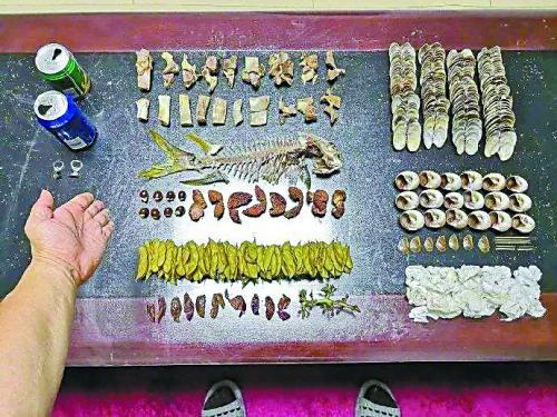 自动冻鱼破碎机_冻鱼一般是什么鱼