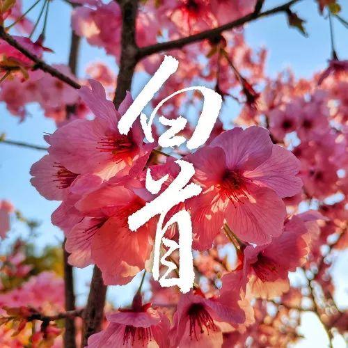 崔展鸿信息工程学院