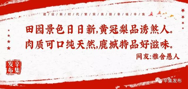 招人！50多家企业、1000多个岗位等你选~1