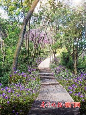 山东宏展景观工程公司