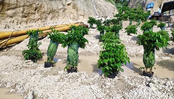 福建矿山全自动洗砂机售价的简单介绍