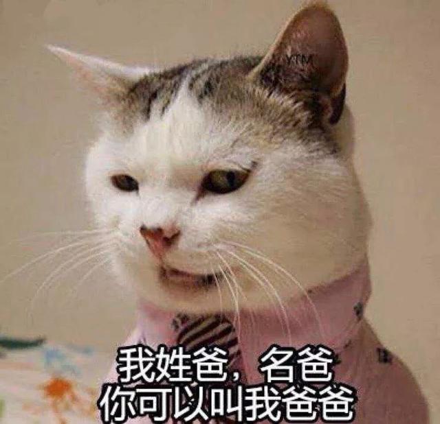 剪刀法没灶台怎么办