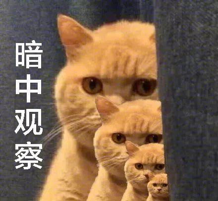 剪刀法没灶台怎么办