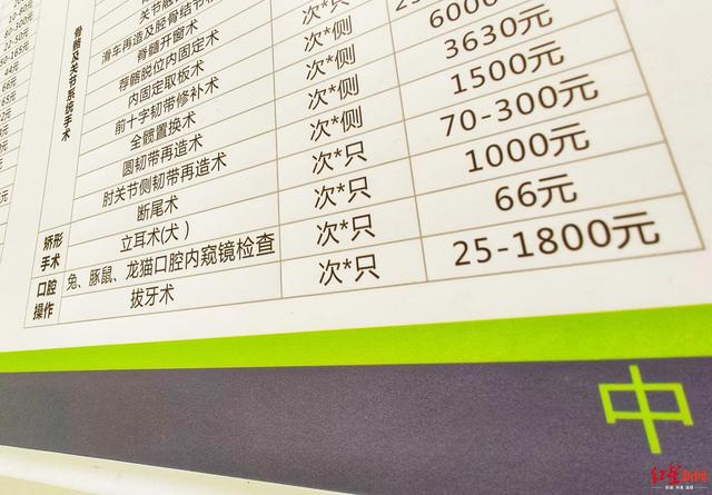 成都宠物医院