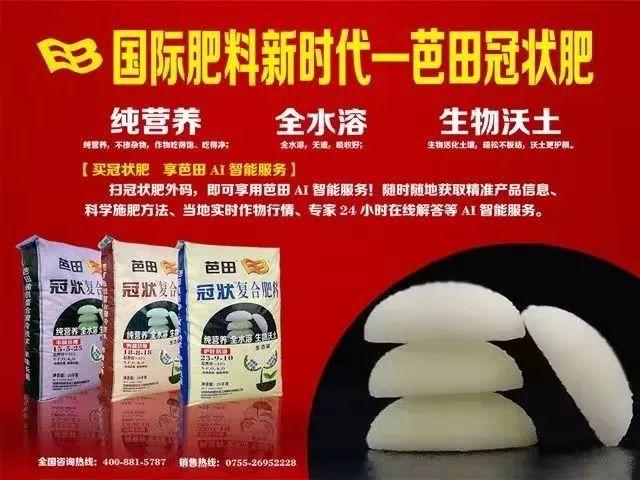 禁用多年的农用链霉素再现市场，电商成违规售药“重灾区”