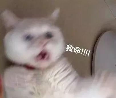 果酸身体乳能带上高铁吗