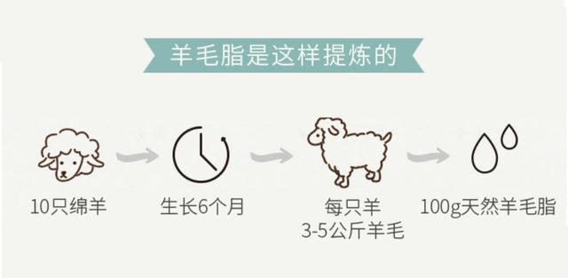 澳大利亚最火的身体乳