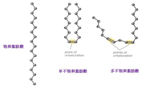 玉泽身体乳厚涂灼伤皮肤