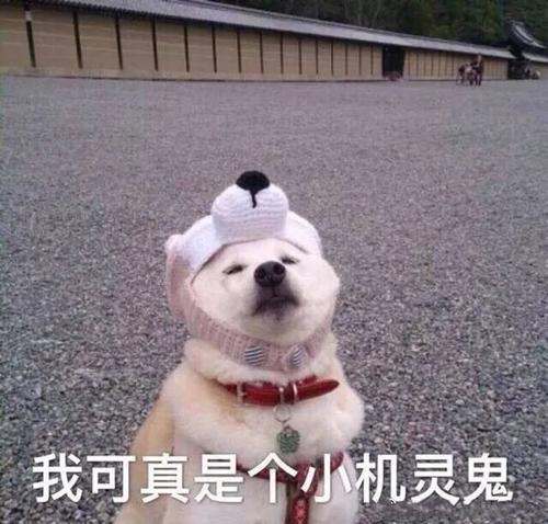 玉泽身体乳厚涂灼伤皮肤