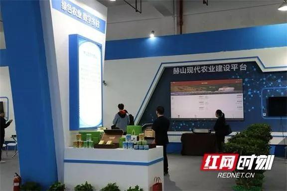 大华雪亮工程成就展