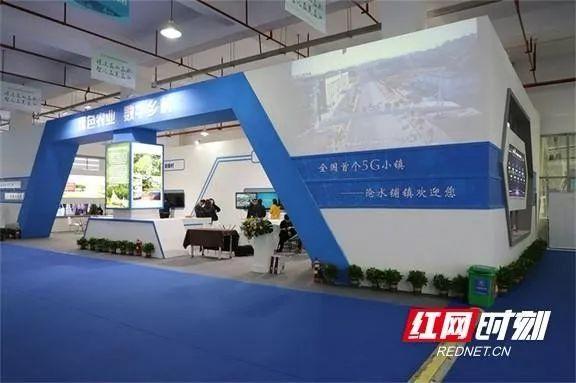 大华雪亮工程成就展