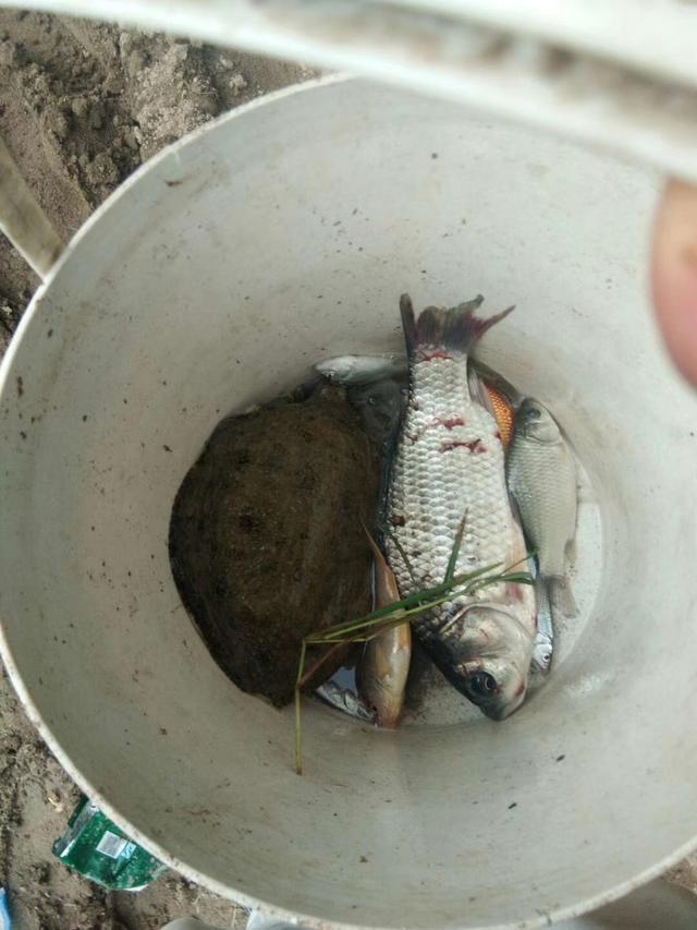 梦到别人钓鱼是什么意思
