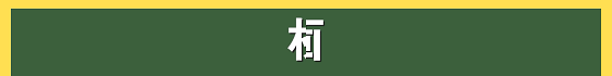 陈雨欣中展国际展览工程公司