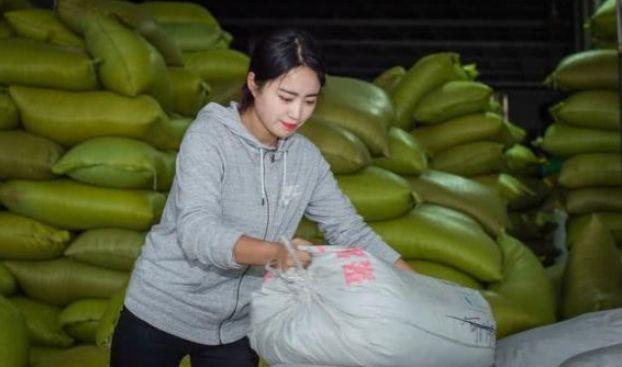 叉车改装破碎机