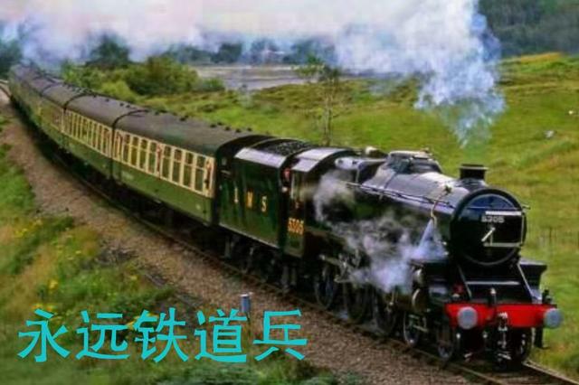 大豆黄豆破碎机_大豆豌豆有什么区别